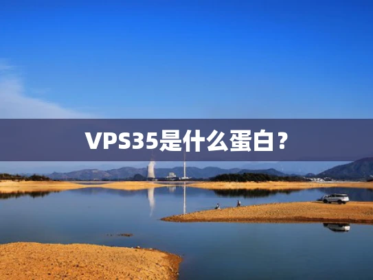 VPS35是什么蛋白？