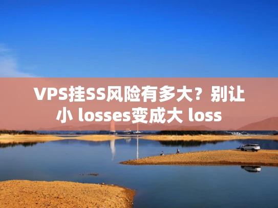 VPS挂SS风险有多大？别让小 losses变成大 loss