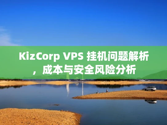 KizCorp VPS 挂机问题解析，成本与安全风险分析