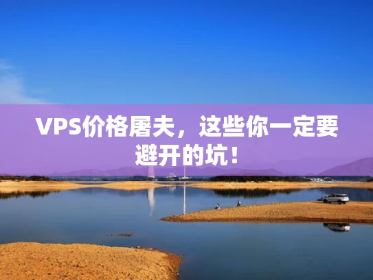 VPS价格屠夫，这些你一定要避开的坑！