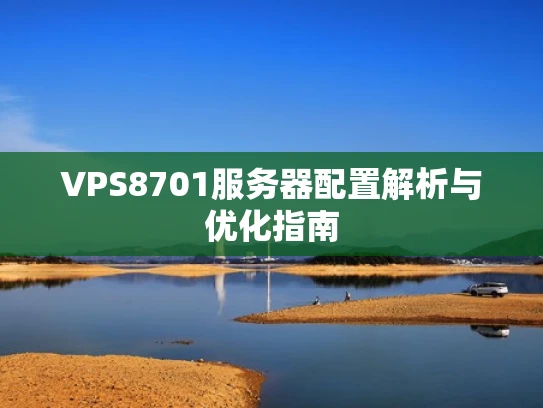 VPS8701服务器配置解析与优化指南