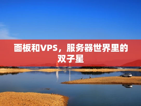 面板和VPS，服务器世界里的双子星