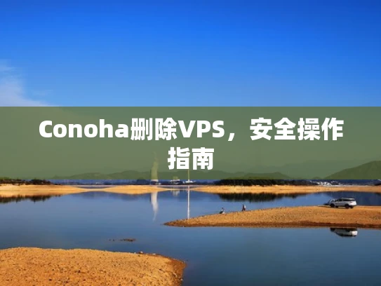 Conoha删除VPS，安全操作指南