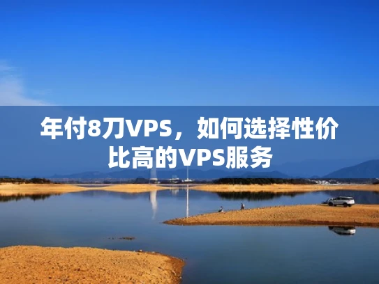 年付8刀VPS，如何选择性价比高的VPS服务