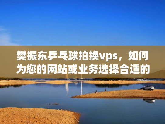 樊振东乒乓球拍换vps，如何为您的网站或业务选择合适的虚拟主机？