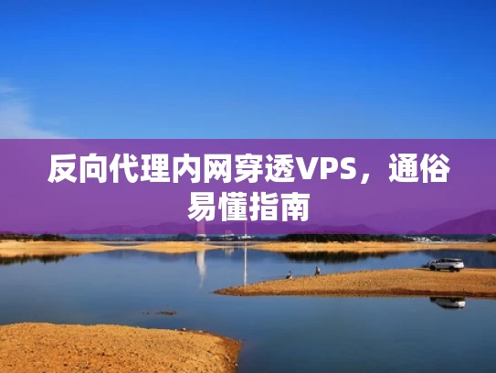 反向代理内网穿透VPS，通俗易懂指南