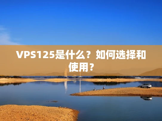 VPS125是什么？如何选择和使用？