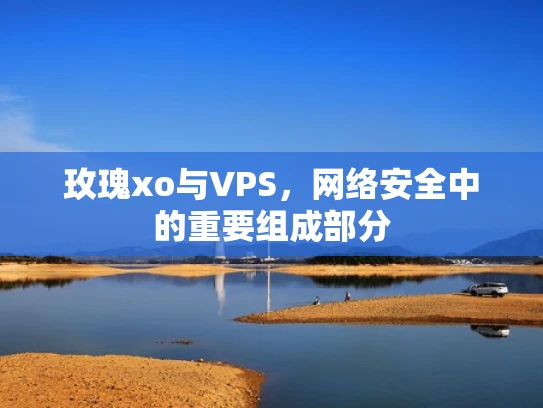 玫瑰xo与VPS，网络安全中的重要组成部分