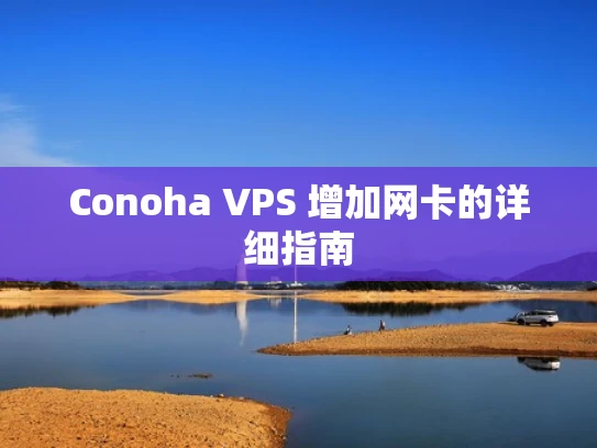 Conoha VPS 增加网卡的详细指南