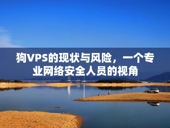 狗VPS的现状与风险，一个专业网络安全人员的视角