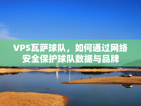 VPS瓦萨球队，如何通过网络安全保护球队数据与品牌