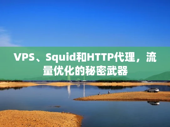 VPS、Squid和HTTP代理，流量优化的秘密武器