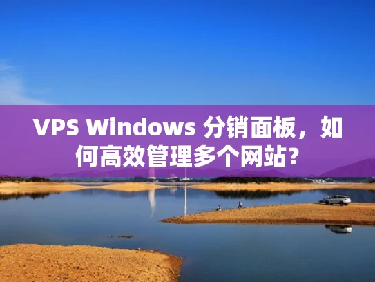 VPS Windows 分销面板，如何高效管理多个网站？