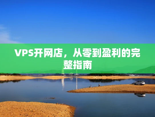VPS开网店，从零到盈利的完整指南