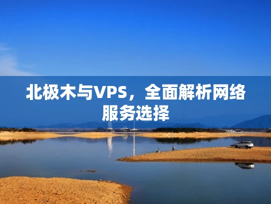 北极木与VPS，全面解析网络服务选择
