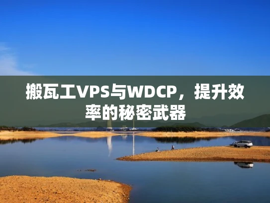 搬瓦工VPS与WDCP，提升效率的秘密武器