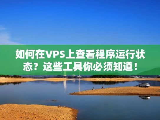 如何在VPS上查看程序运行状态？这些工具你必须知道！