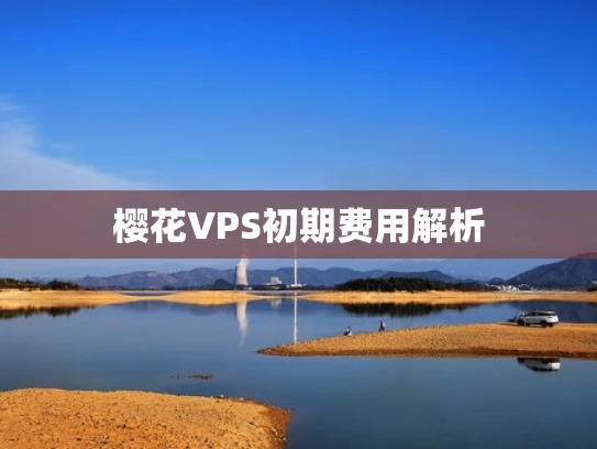 樱花VPS初期费用解析