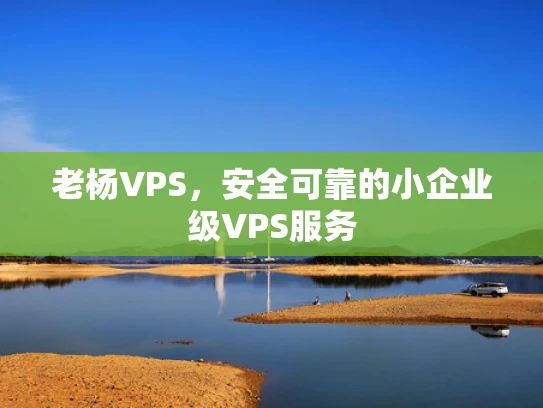 老杨VPS，安全可靠的小企业级VPS服务
