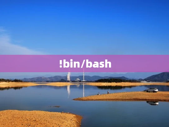 !bin/bash
