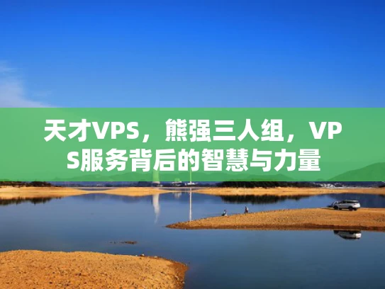 天才VPS，熊强三人组，VPS服务背后的智慧与力量