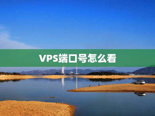 VPS端口号怎么看