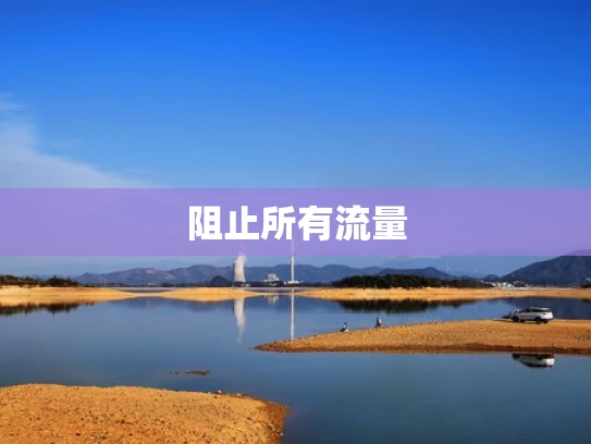 阻止所有流量