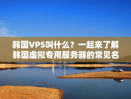 韩国VPS叫什么？一起来了解韩国虚拟专用服务器的常见名称