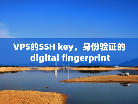 VPS的SSH key，身份验证的 digital fingerprint