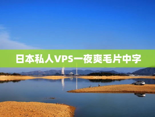 日本私人VPS一夜爽毛片中字