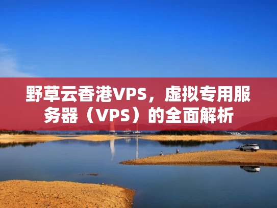 野草云香港VPS，虚拟专用服务器（VPS）的全面解析