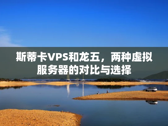 斯蒂卡VPS和龙五，两种虚拟服务器的对比与选择