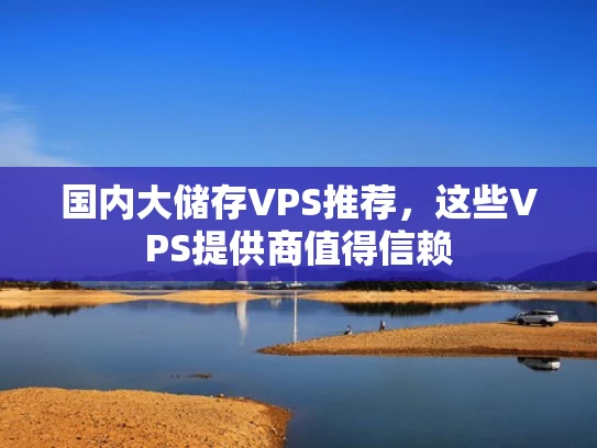 国内大储存VPS推荐，这些VPS提供商值得信赖