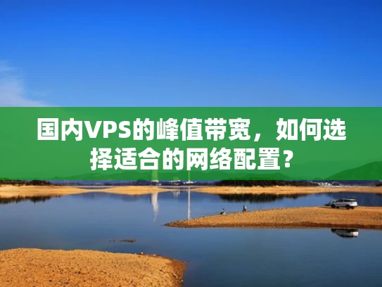 国内VPS的峰值带宽，如何选择适合的网络配置？