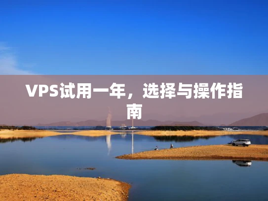 VPS试用一年，选择与操作指南