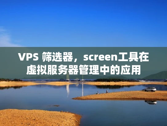 VPS 筛选器，screen工具在虚拟服务器管理中的应用