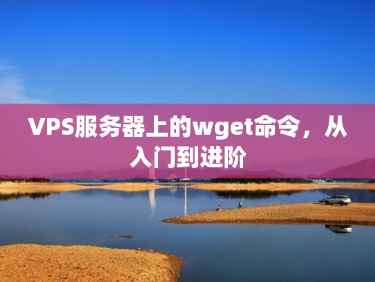 VPS服务器上的wget命令，从入门到进阶