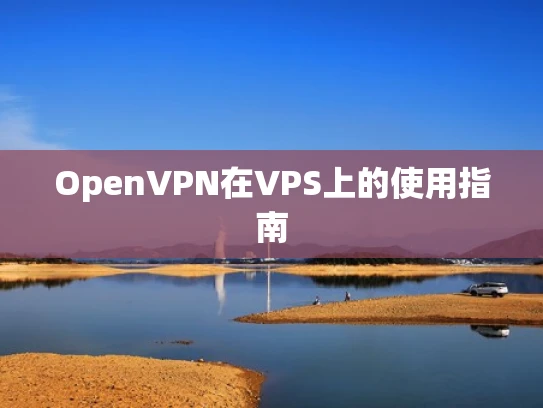 OpenVPN在VPS上的使用指南