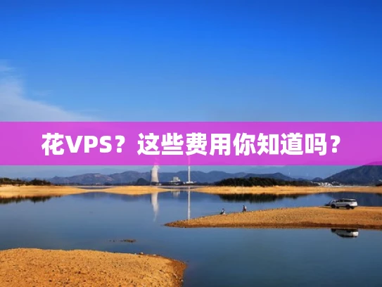 花VPS？这些费用你知道吗？