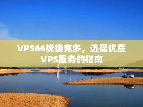 VPS66线维克多，选择优质VPS服务的指南