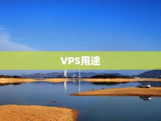 VPS用途
