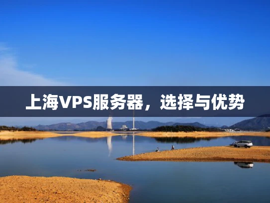 上海VPS服务器，选择与优势
