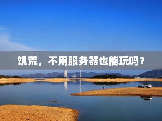 饥荒，不用服务器也能玩吗？