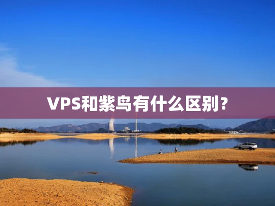 VPS和紫鸟有什么区别？