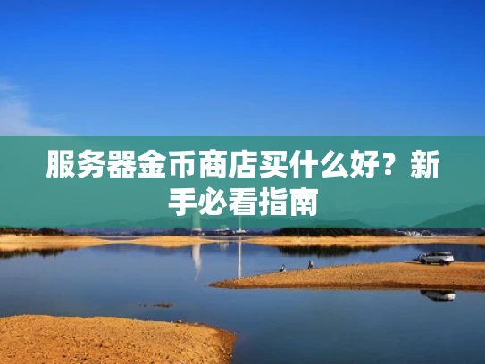 服务器金币商店买什么好？新手必看指南