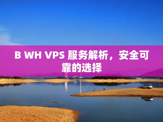 B WH VPS 服务解析，安全可靠的选择