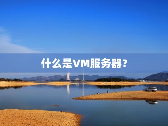 什么是VM服务器？