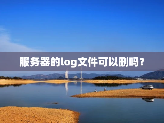 服务器的log文件可以删吗？