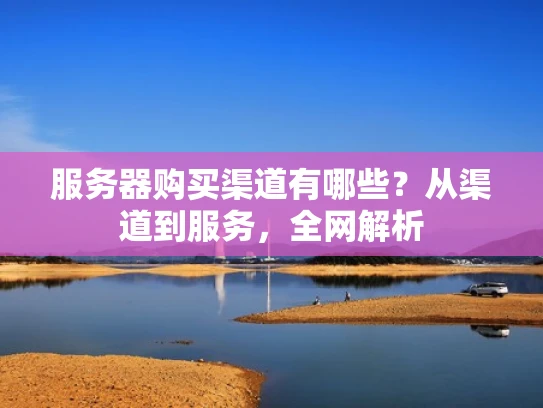 服务器购买渠道有哪些？从渠道到服务，全网解析