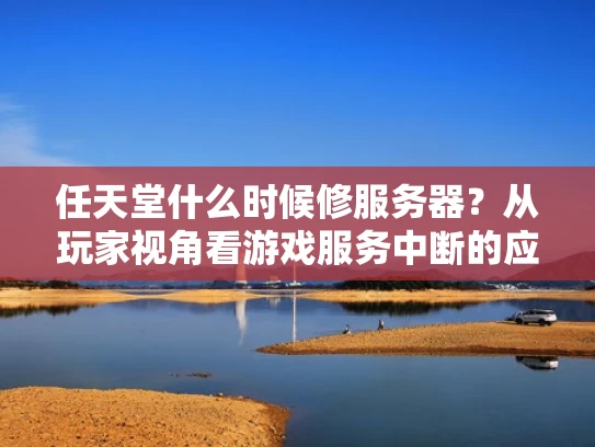 任天堂什么时候修服务器？从玩家视角看游戏服务中断的应对之道